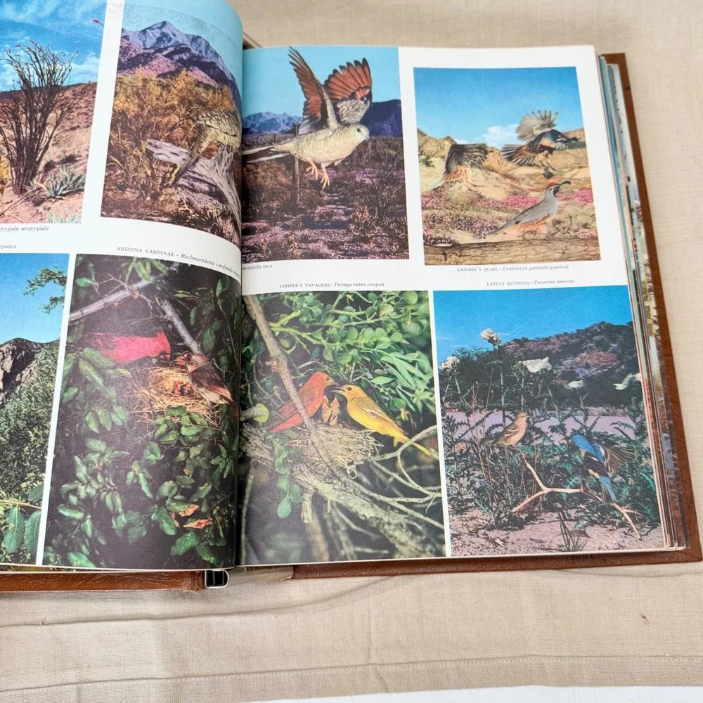 Vintage Arizona Highways Magazine Binder Display Book Southwestern Photography